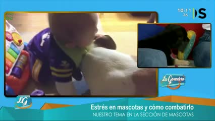 New Live Editor Clip 2019-04-30 16:24:01