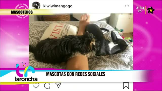 New Live Editor Clip 2019-04-30 21:41:06