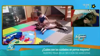 New Live Editor Clip 2019-05-02 16:35:38