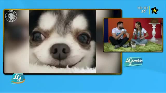 New Live Editor Clip 2019-05-07 16:16:19