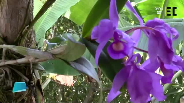 New Live Editor Clip 2019-05-09 15:11:22