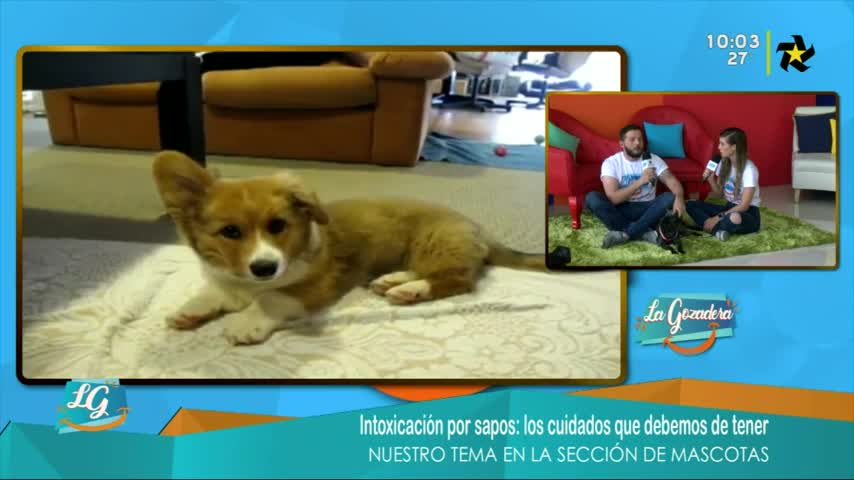 New Live Editor Clip 2019-05-16 16:08:05