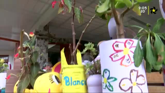 New Live Editor Clip 2019-05-22 15:12:50