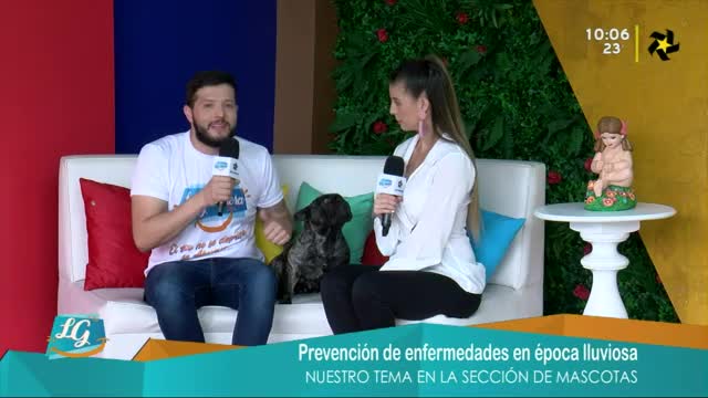 New Live Editor Clip 2019-05-28 16:20:06