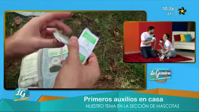 New Live Editor Clip 2019-06-04 16:36:11