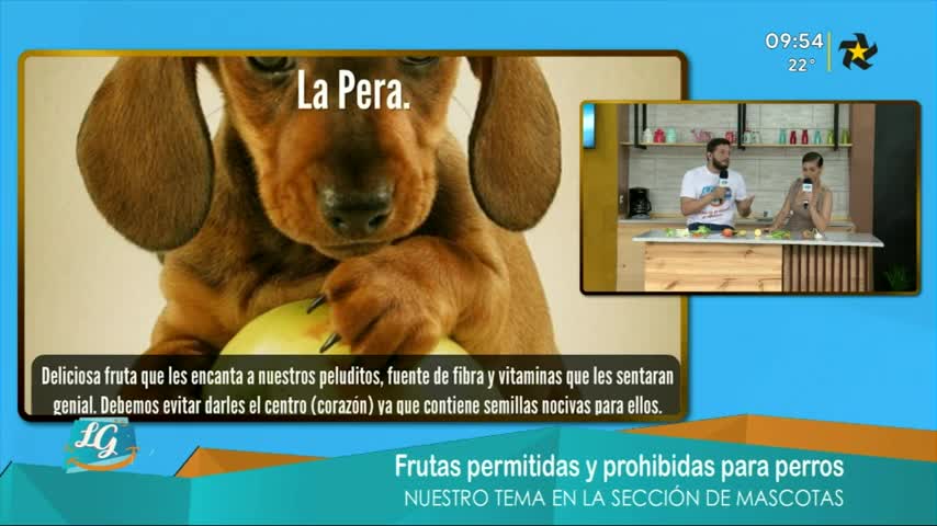 New Live Editor Clip 2019-06-06 16:12:26