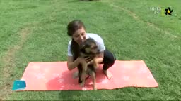 New Live Editor Clip 2019-06-13 16:22:09