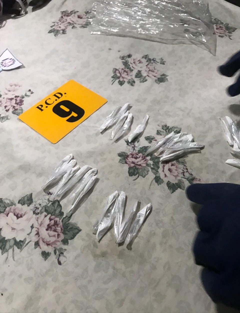 (+FOTOS) Pareja sospechosa de vender drogas en Liberia ofrecía servicio exprés