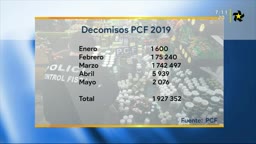 New Live Editor Clip 2019-06-25 13:15:17