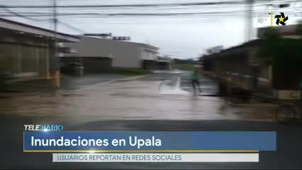 New Live Editor Clip 2019-07-08 13:06:10