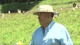 New Live Editor Clip 2019-07-10 20:05:33