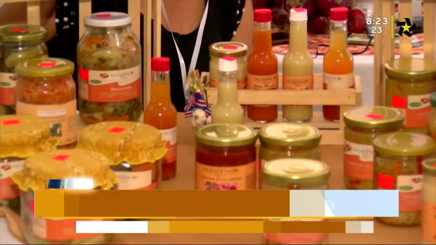 New Live Editor Clip 2019-07-22 14:24:49