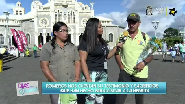 New Live Editor Clip 2019-08-01 23:45:55