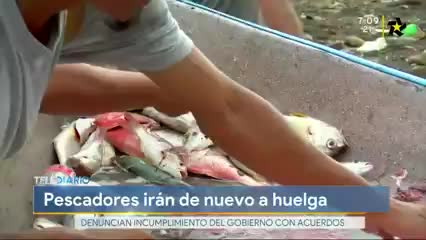 New Live Editor Clip 2019-08-06 13:11:39