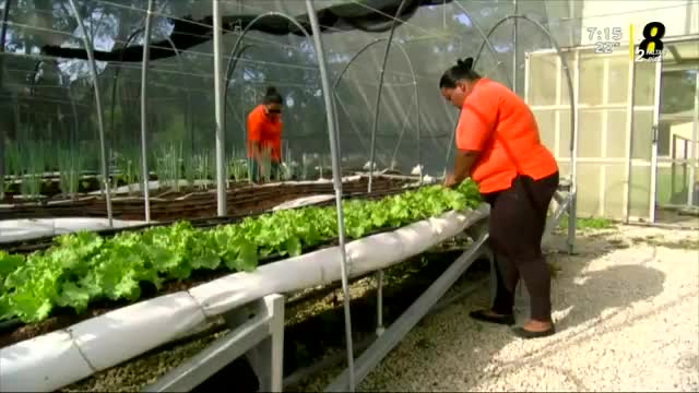 New Live Editor Clip 2019-08-12 13:17:18