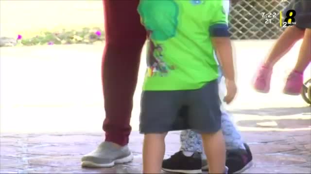 New Live Editor Clip 2019-08-12 13:23:44