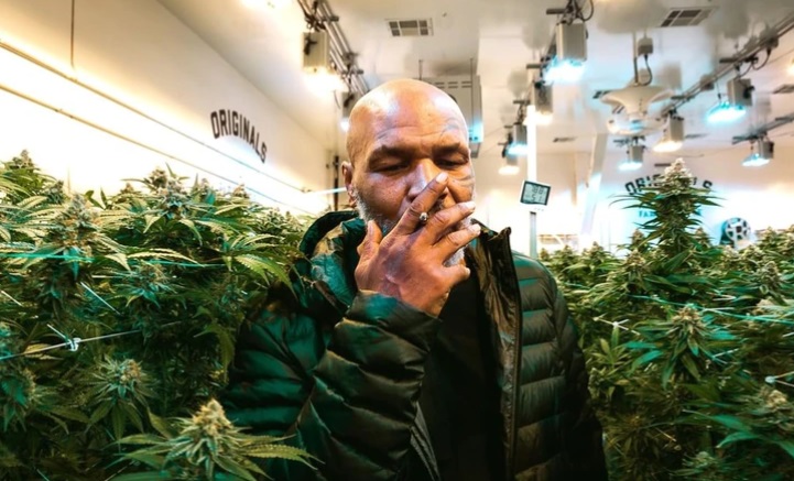 Mike Tyson llegaba a sus peleas bajo los efectos de la marihuana