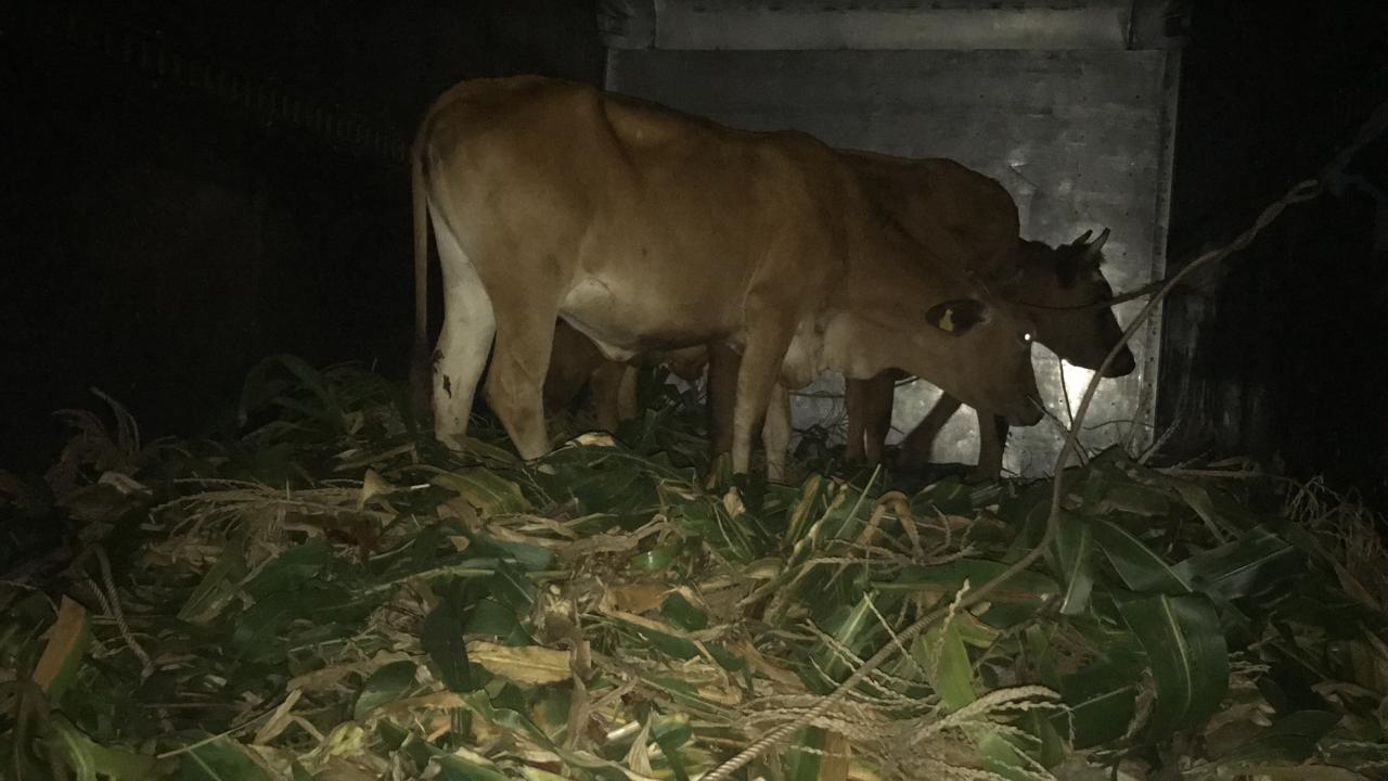 Foto: Ministerio de Seguridad Pública