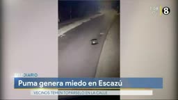 New Live Editor Clip 2019-08-27 13:09:47