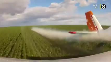 New Live Editor Clip 2019-09-03 02:12:27