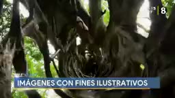 New Live Editor Clip 2019-09-27 13:17:54