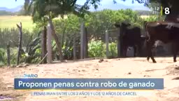 New Live Editor Clip 2019-10-07 14:14:55