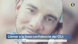 New Live Editor Clip 2019-10-08 13:20:42