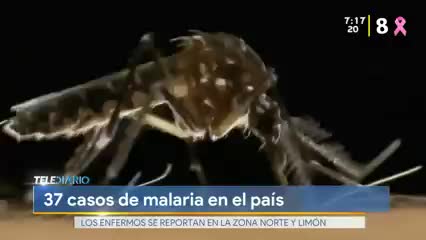 New Live Editor Clip 2019-10-28 13:20:11