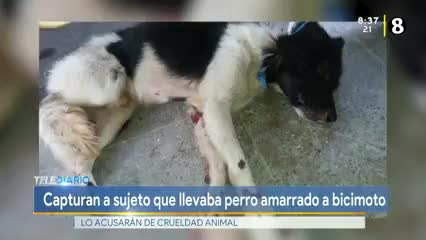 New Live Editor Clip 2019-11-07 02:40:16