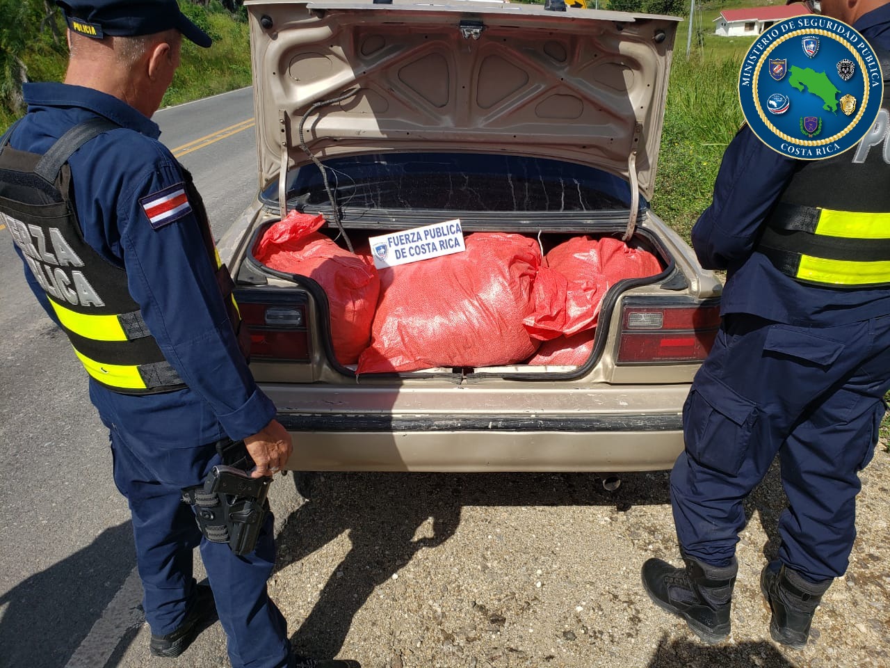 Detienen cargamento con más de 200 kilos de cianuro