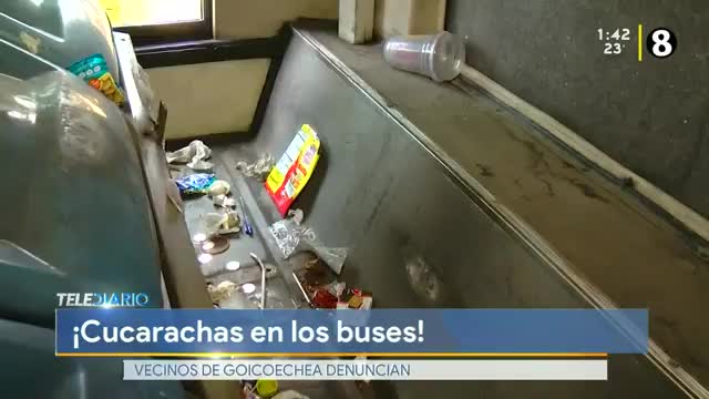 cucharachas