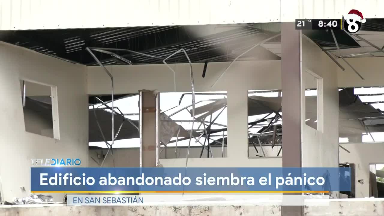 New Live Editor Clip 2019-12-12 02:51:37