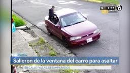 banda de patas largas