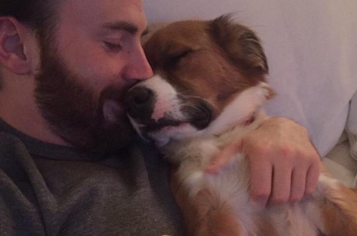 Así pasó Chris Evans el Día de San Valentín