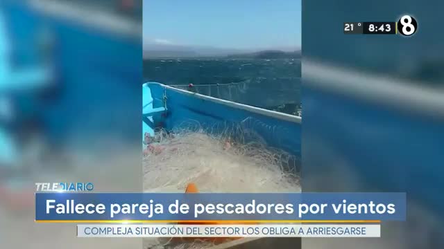 New Live Editor Clip 2020-02-18 02:47:24