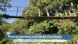 New Live Editor Clip 2020-03-17 04:05:42