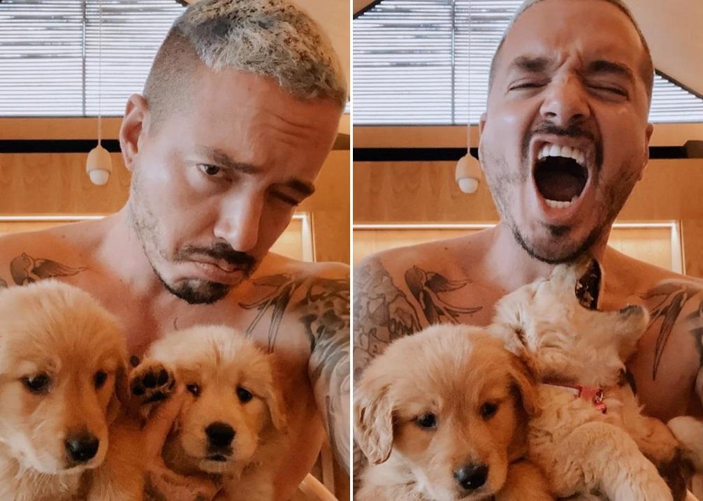 Señalan a J Balvin por presunto maltrato animal

 