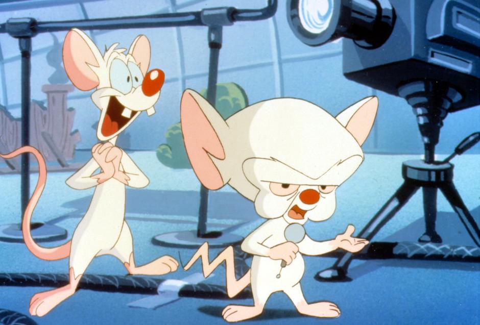 ¿Vuelven a la TV 'Pinky y Cerebro'?

 