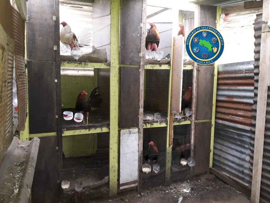 Foto: Ministerio de Seguridad Pública