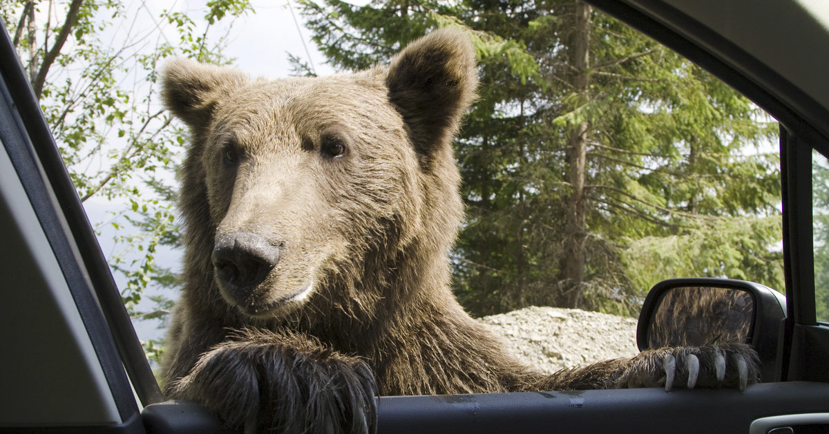 Foto: Imagen de caracter ilustrativo