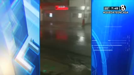 New Live Editor Clip 2020-05-28 01:57:35