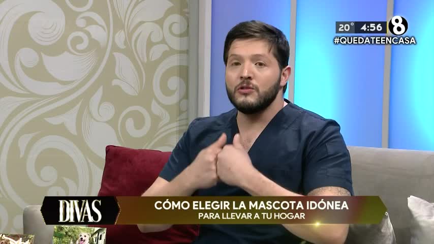 New Live Editor Clip 2020-06-10 00:46:18