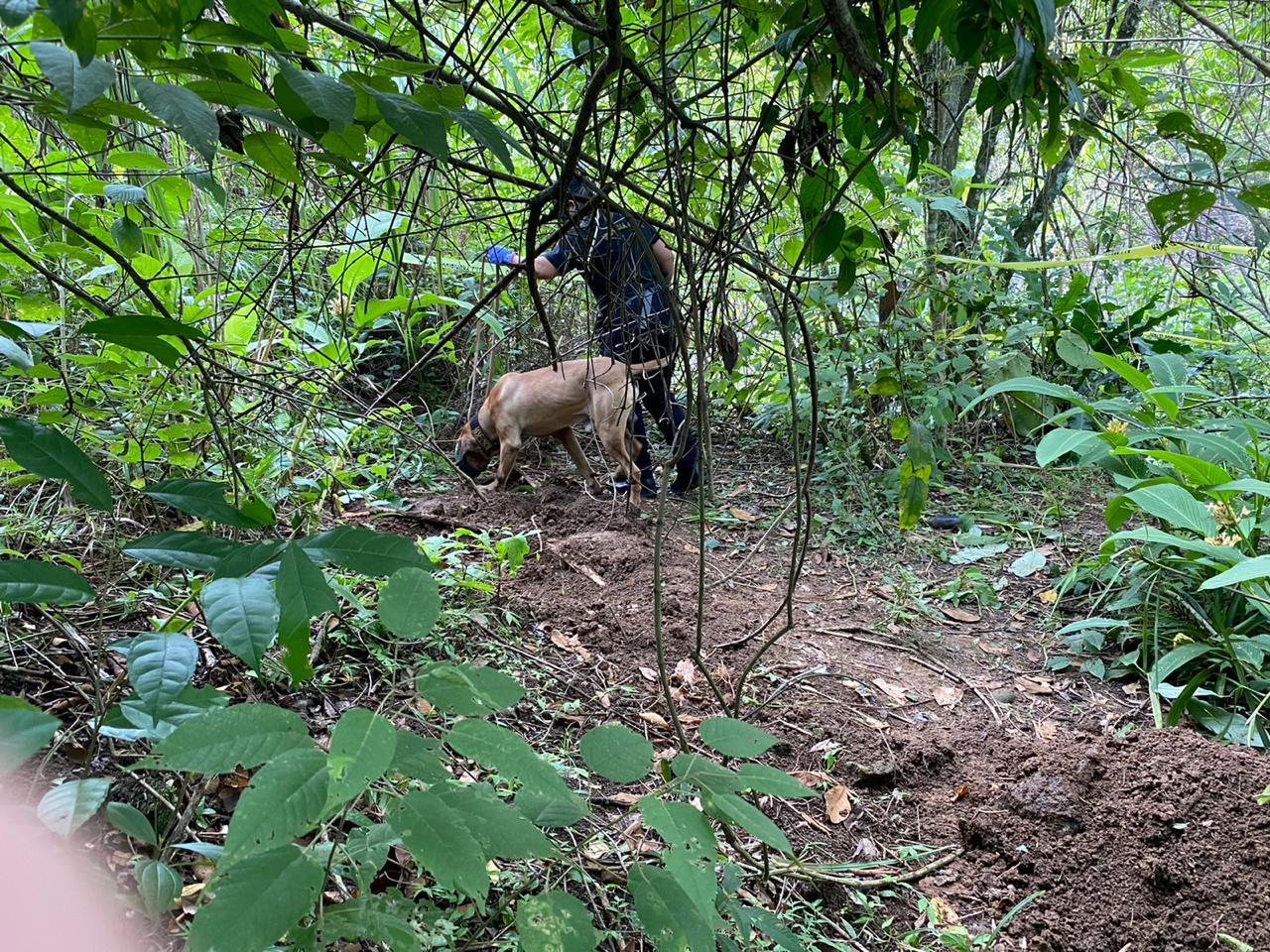 Foto: Organismo de Investigación Judicial (OIJ).