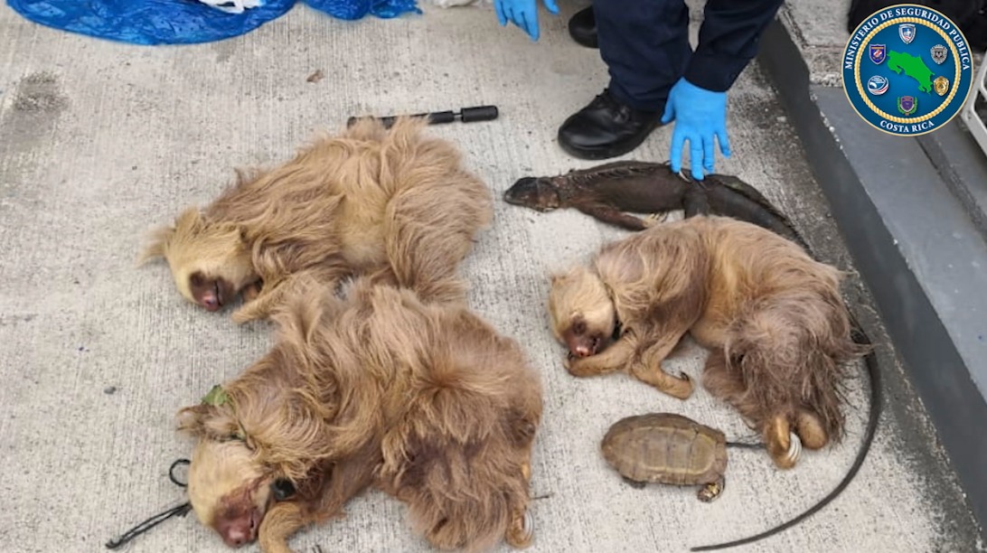 Foto: Ministerio de Seguridad Pública