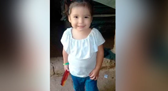 Foto: Organismo de Investigación Judicial (OIJ)