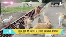GATOS