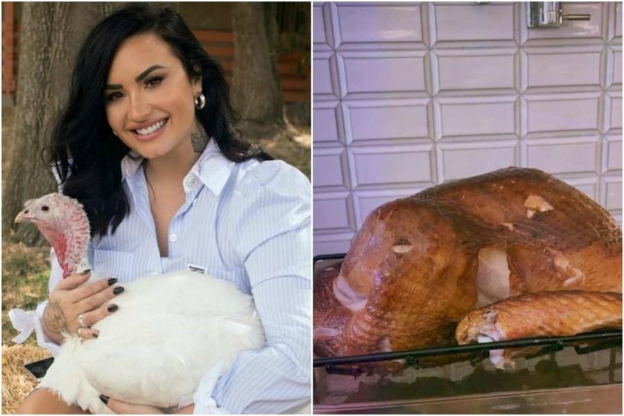 Demi Lovato causó polémica por su incongruencia. | Instagram @DemiLovato