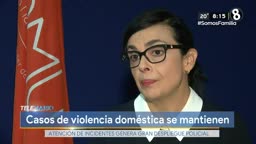 Violencia domestica 