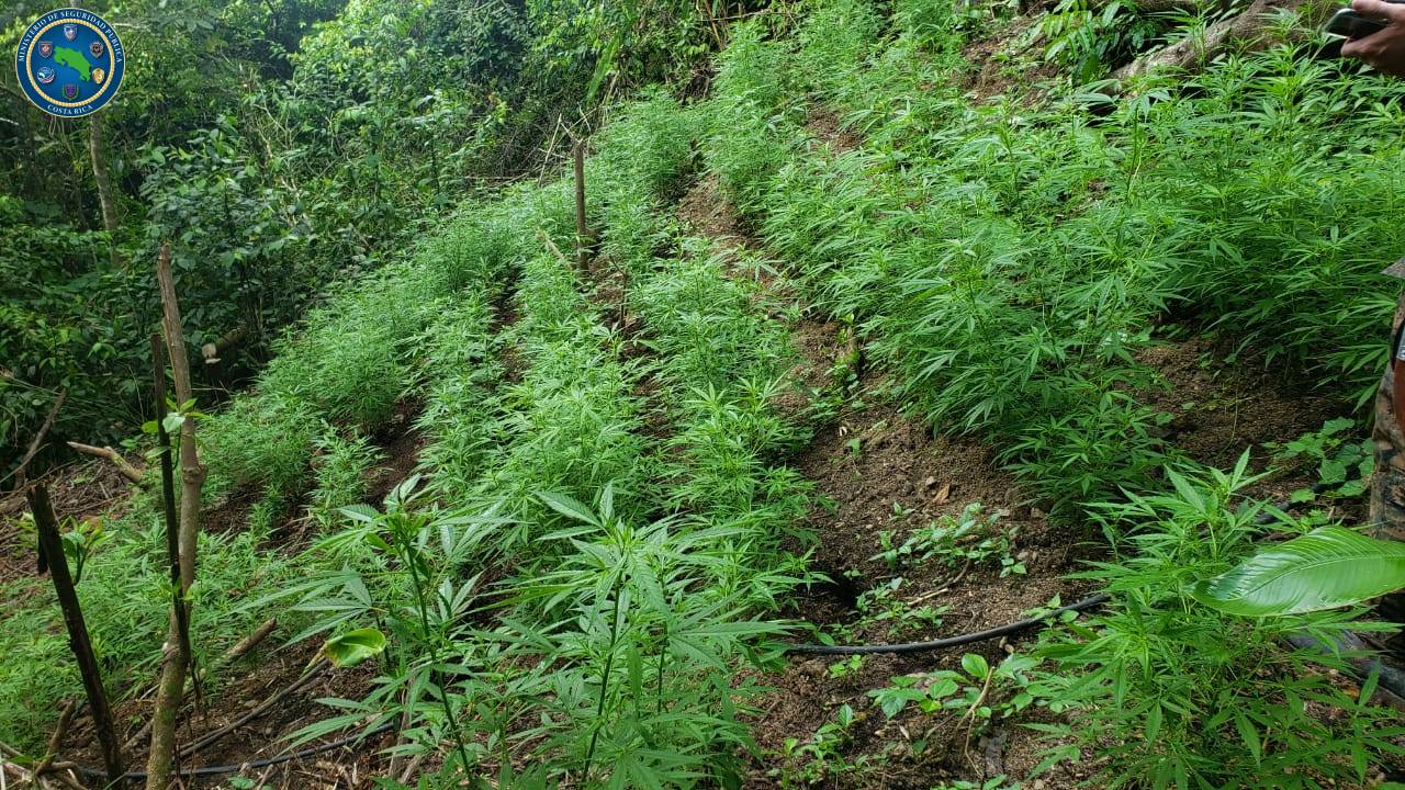 Foto: Ministerio de Seguridad Pública