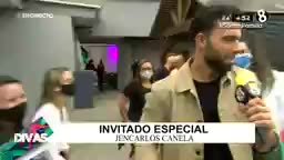 Canela toro mecánico 